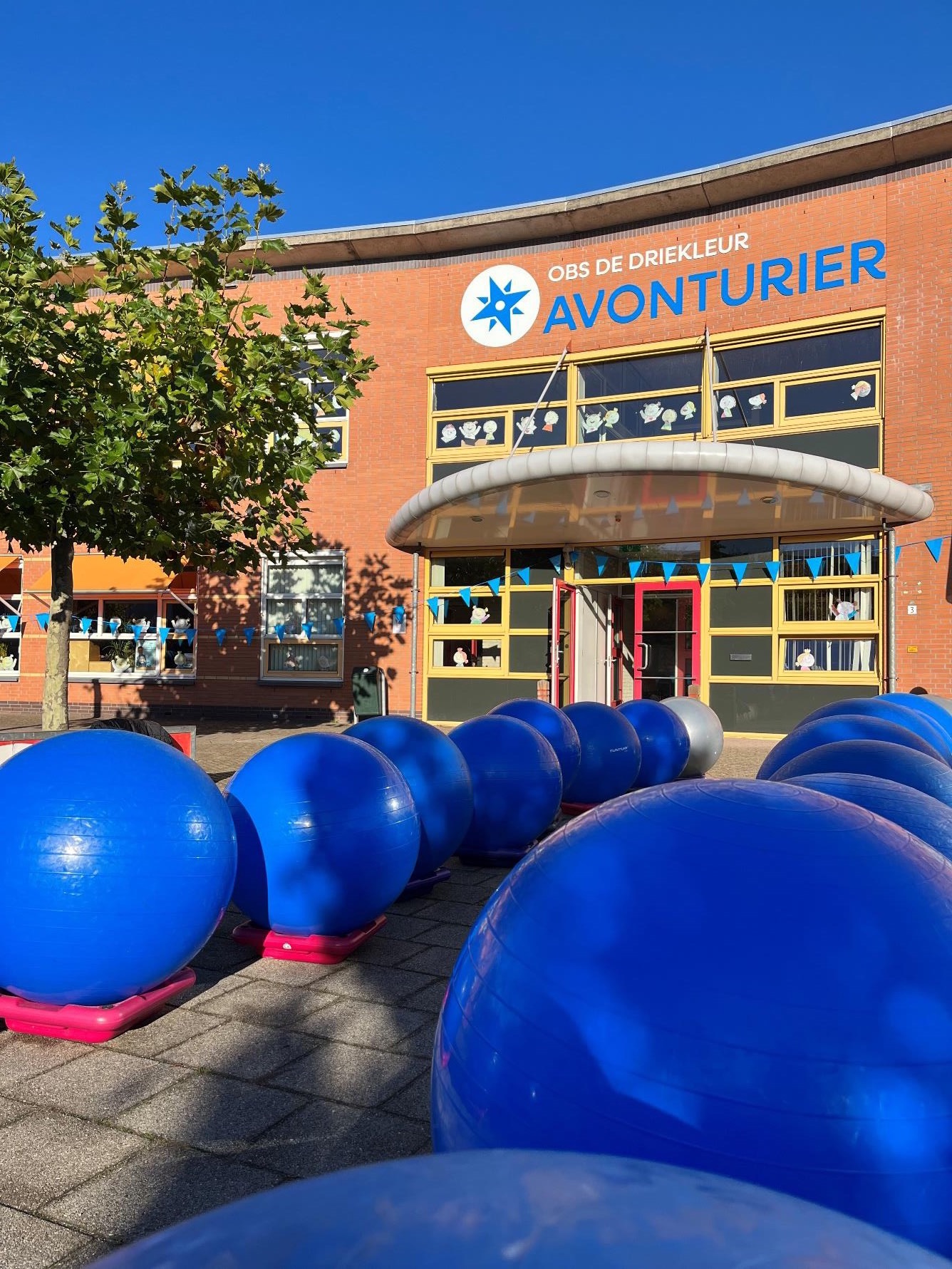 De Driekleur, locatie Avonturier